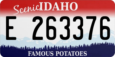 ID license plate E263376