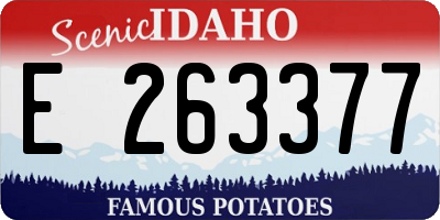 ID license plate E263377