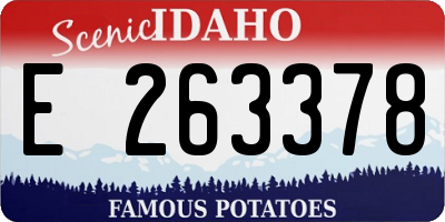 ID license plate E263378