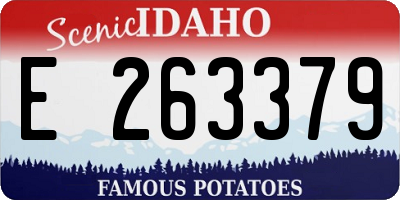 ID license plate E263379