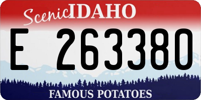ID license plate E263380