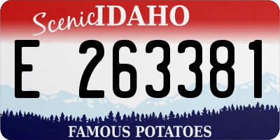 ID license plate E263381