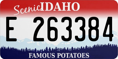 ID license plate E263384