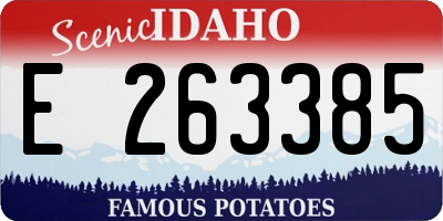 ID license plate E263385