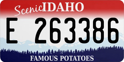 ID license plate E263386