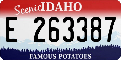 ID license plate E263387