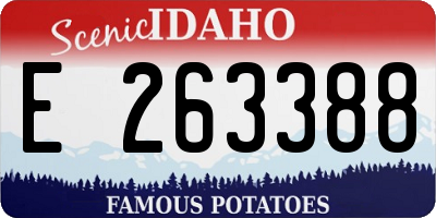 ID license plate E263388