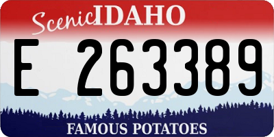 ID license plate E263389