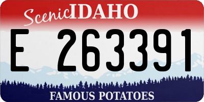 ID license plate E263391