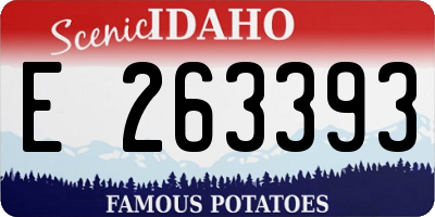 ID license plate E263393