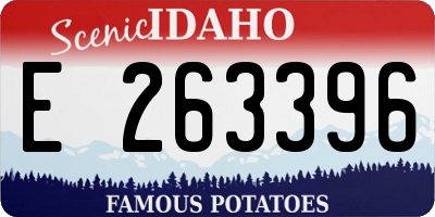 ID license plate E263396