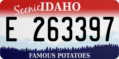 ID license plate E263397