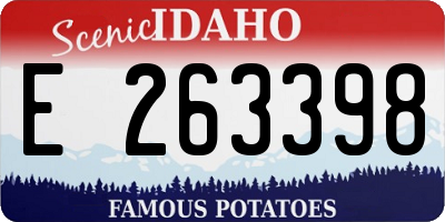 ID license plate E263398