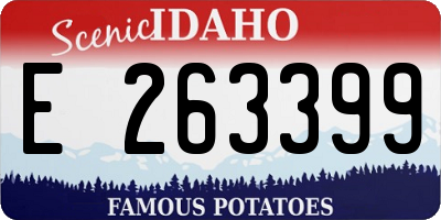 ID license plate E263399