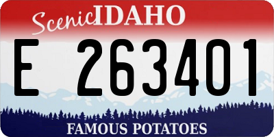 ID license plate E263401