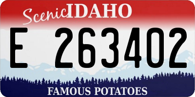 ID license plate E263402