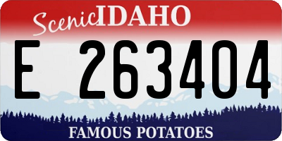 ID license plate E263404