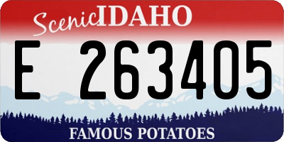 ID license plate E263405