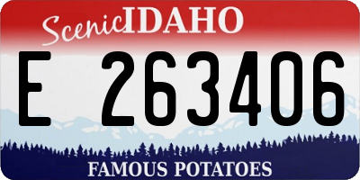 ID license plate E263406