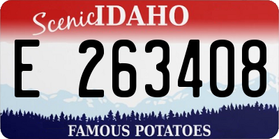 ID license plate E263408