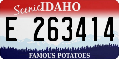ID license plate E263414