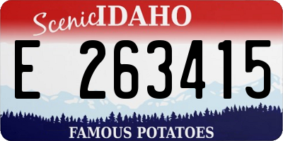ID license plate E263415