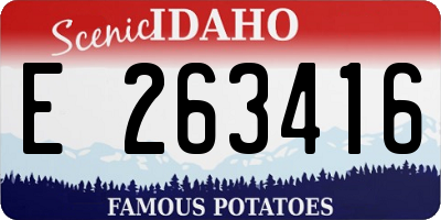 ID license plate E263416