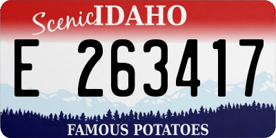 ID license plate E263417