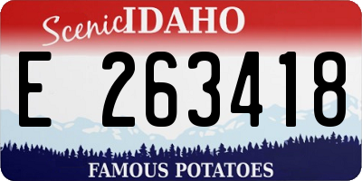 ID license plate E263418