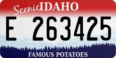 ID license plate E263425