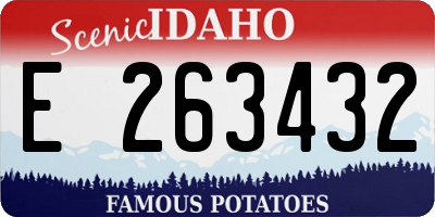 ID license plate E263432