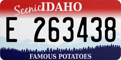 ID license plate E263438