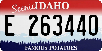 ID license plate E263440