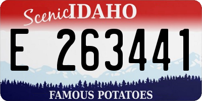 ID license plate E263441