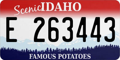 ID license plate E263443