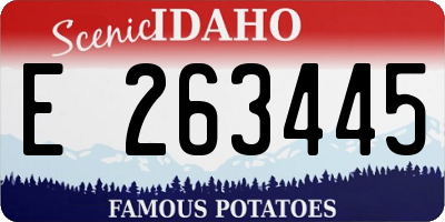 ID license plate E263445