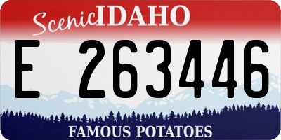 ID license plate E263446