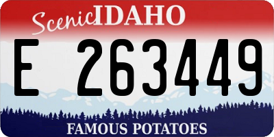 ID license plate E263449