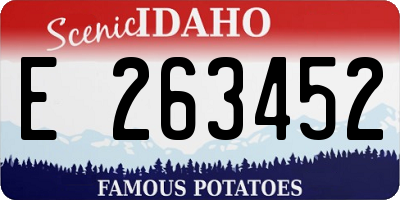 ID license plate E263452
