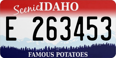 ID license plate E263453