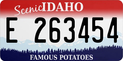ID license plate E263454
