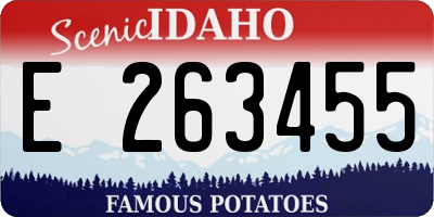 ID license plate E263455