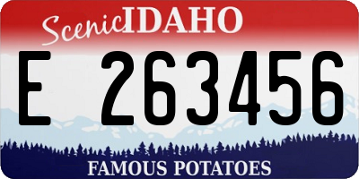 ID license plate E263456