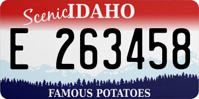 ID license plate E263458