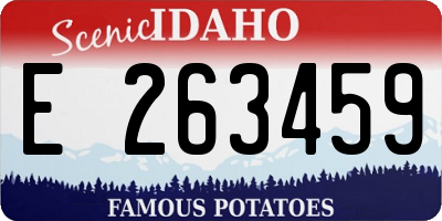 ID license plate E263459