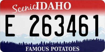 ID license plate E263461