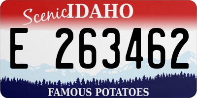 ID license plate E263462