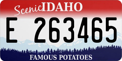ID license plate E263465