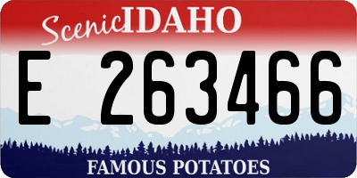 ID license plate E263466