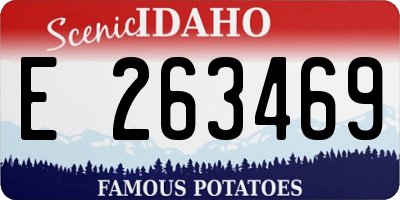 ID license plate E263469